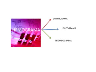 HEMOGRAMA 
ERITROGRAMA 
LEUCOGRAMA 
TROMBOGRAMA 
 