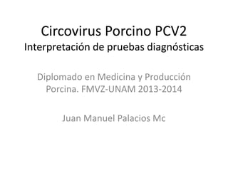 Circovirus Porcino PCV2
Interpretación de pruebas diagnósticas
Diplomado en Medicina y Producción
Porcina. FMVZ-UNAM 2013-2014
Juan Manuel Palacios Mc

 