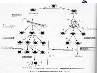 Interpretacion Analisis ClíNicos | PPT