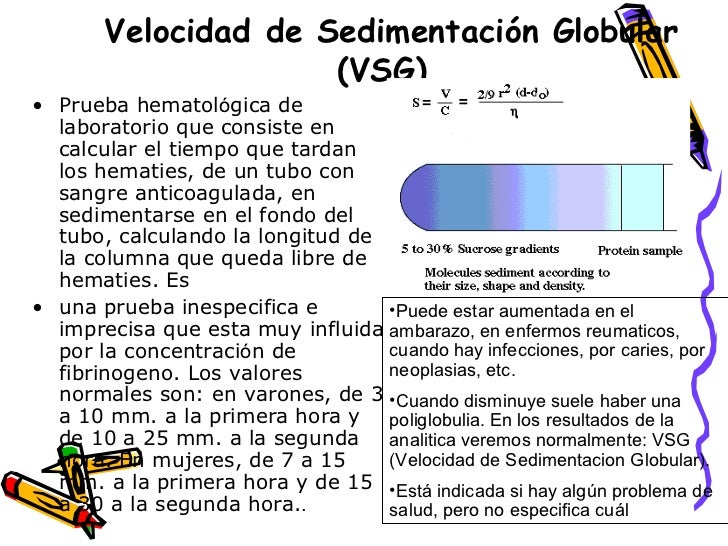 Interpretacion Analisis ClíNicos