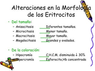Alteraciones en la Morfología
de los Eritrocitos
• Del tamaño:
– Anisocitosis Diferentes tamaños.
– Microcitosis Menor tamaño.
– Macrocitosis Mayor tamaño.
– Megalocitosis Grandes y ovalados.
• De la coloración:
– Hipocromía C.H.C.M. disminuida ↓ 30%
– Hipercromía Esferocito,Hb concentrada
 