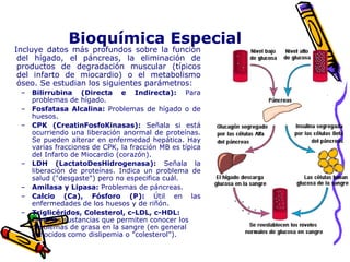 Bioquímica Especial
Incluye datos más profundos sobre la función
del hígado, el páncreas, la eliminación de
productos de degradación muscular (típicos
del infarto de miocardio) o el metabolismo
óseo. Se estudian los siguientes parámetros:
– Bilirrubina (Directa e Indirecta): Para
problemas de hígado.
– Fosfatasa Alcalina: Problemas de hígado o de
huesos.
– CPK (CreatinFosfoKinasas): Señala si está
ocurriendo una liberación anormal de proteínas.
Se pueden alterar en enfermedad hepática. Hay
varias fracciones de CPK, la fracción MB es típica
del Infarto de Miocardio (corazón).
– LDH (LactatoDesHidrogenasa): Señala la
liberación de proteínas. Indica un problema de
salud ("desgaste") pero no especifica cuál.
– Amilasa y Lipasa: Problemas de páncreas.
– Calcio (Ca), Fósforo (P): Útil en las
enfermedades de los huesos y de riñón.
– Triglicéridos, Colesterol, c-LDL, c-HDL:
Diversas sustancias que permiten conocer los
problemas de grasa en la sangre (en general
conocidos como dislipemia o "colesterol").
 