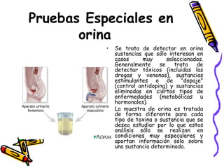 Pruebas Especiales en
orina
• Se trata de detectar en orina
sustancias que sólo interesan en
casos muy seleccionados.
Generalmente se trata de
detectar tóxicos (incluidas las
drogas y venenos), sustancias
estimulantes o de "dopaje"
(control antidoping) y sustancias
eliminadas en ciertos tipos de
enfermedades (metabólicas u
hormonales).
• La muestra de orina es tratada
de forma diferente para cada
tipo de toxina o sustancia que se
desea estudiar por lo que estos
análisis sólo se realizan en
condiciones muy especulares y
aportan información sólo sobre
una sustancia determinada.
 