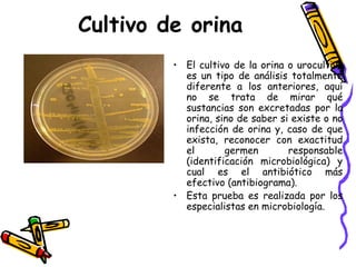 Cultivo de orina
• El cultivo de la orina o urocultivo
es un tipo de análisis totalmente
diferente a los anteriores, aquí
no se trata de mirar qué
sustancias son excretadas por la
orina, sino de saber si existe o no
infección de orina y, caso de que
exista, reconocer con exactitud
el germen responsable
(identificación microbiológica) y
cual es el antibiótico más
efectivo (antibiograma).
• Esta prueba es realizada por los
especialistas en microbiología.
 