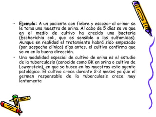 • Ejemplo: A un paciente con fiebre y escozor al orinar se
le toma una muestra de orina. Al cabo de 5 días se ve que
en el medio de cultivo ha crecido una bacteria
(Escherichia coli, que es sensible a las sulfamidas).
Aunque en realidad el tratamiento habrá sido empezado
(por sospecha clínica) días antes, el cultivo confirma que
se va en la buena dirección.
• Una modalidad especial de cultivo de orina es el estudio
de la tuberculosis (conocido como BK en orina o cultivo de
Lowenstein), en que se busca en las muestras este agente
patológico. El cultivo crece durante 2-3 meses ya que el
germen responsable de la tuberculosis crece muy
lentamente
 