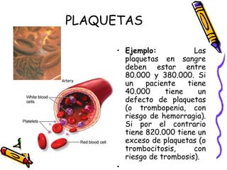 PLAQUETAS
• Ejemplo: Las
plaquetas en sangre
deben estar entre
80.000 y 380.000. Si
un paciente tiene
40.000 tiene un
defecto de plaquetas
(o trombopenia, con
riesgo de hemorragia).
Si por el contrario
tiene 820.000 tiene un
exceso de plaquetas (o
trombocitosis, con
riesgo de trombosis).
•
 