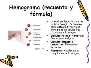 Hemograma (recuento y
fórmula)
• Lo realizan los especialistas
en hematología. Determina
cómo están los tres tipos
principales de células que
circulan por la sangre:
• Glóbulos Rojos o Hematíes:
Conducen el oxígeno.
• Glóbulos Blancos o
Leucocitos: Forman las
defensas.
• Plaquetas: Ayudan en la
coagulación de la sangre
 