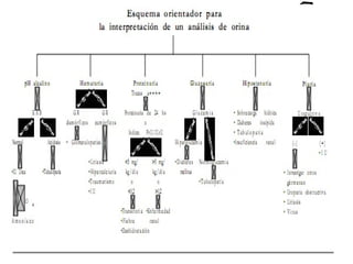 Interpretacion Analisis Clnicos.med.ppt gratis | PPT