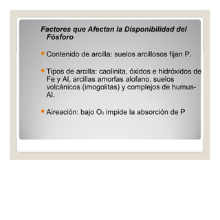 Factores que Afectan la Disponibilidad del 
Fósforo 
Contenido de arcilla: suelos arcillosos fijan P. 
Tipos de arcilla: caolinita, óxidos e hidróxidos de 
Fe y Al, arcillas amorfas alofano, suelos 
volcánicos (imogolitas) y complejos de humus- 
Al. 
Aireación: bajo O2 impide la absorción de P 
 