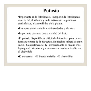 Potasio 
•Importante en la fotosintesis, transporte de fotosintatos, 
reserva del almidones y en la activación de procesos 
enzimáticos, alta movilidad de la planta. 
•Promotor de resistencia a enfermedades y al stress. 
•Importante para una buena calidad del fruto 
•El potasio disponible es díficil de determinar pues ocurre 
formando parte de la estructura de muchos minerales en el 
suelo. Generalmente el K intercambiable es mucho más 
bajo que el estructural y éste a su vez mucho más alto que 
el disponible 
•K estructural > K intercambiable > K disponible 
 