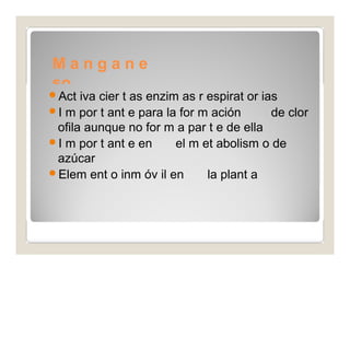 M a n g a n e 
so 
Act iva cier t as enzim as r espirat or ias 
I m por t ant e para la for m ación de clor 
ofila aunque no for m a par t e de ella 
I m por t ant e en el m et abolism o de 
azúcar 
Elem ent o inm óv il en la plant a 
 