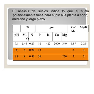 El análisis de suelos indica lo que el suelo 
potencialmente tiene para suplir a la planta a corto, 
mediano y largo plazo. 
% ppm Ca/ Mg/K 
Mg 
pH M. N P 
O 
K Ca Mg 
7.1 5.44 0.27 12 422 3000 340 5.87 2.26 
6 3 0.20 13 3 3 
6.8 4 0.50 30 250 5 5 
 