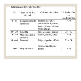 Tolerancia de los cultivos a PSI 
PSI Tipo de cultivo 
afectado 
Cultivos afectados % Reducción 
en 
rendimientos 
2 - 10 Extremadamente 
sensitivos 
Frutales deciduos, 
macadamia, aguacate, 
yuca, cítricos, banano, 
rosas, clavel 
> 50 
10 - 20 Sensible Frijol, caña de azúcar 25 - 50 
20 - 40 Moderadamente 
tolerante 
Trébol, pastos, arroz > 50 
40 - 60 Tolerante Trigo, algodón, alfalfa, 
, , 
remolacha Algunos 
pastos 
25 - 50 
> 60 Muy tolerante > 50 
 