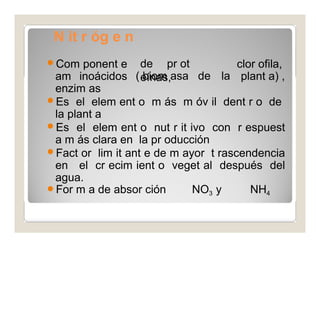 N it r óg e n 
o Com ponent e 
am inoácidos 
enzim as 
de pr ot 
eínas, 
clor ofila, 
( biom asa de la plant a) , 
Es el elem ent o m ás m óv il dent r o de 
la plant a 
Es el elem ent o nut r it ivo con r espuest 
a m ás clara en la pr oducción 
Fact or lim it ant e de m ayor t rascendencia 
en el cr ecim ient o veget al después del 
agua. 
For m a de absor ción NO3 y NH4 
 