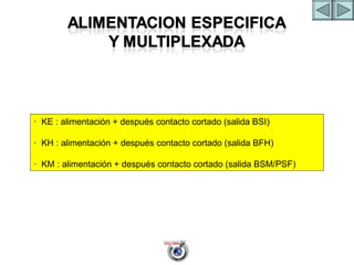 ALIMENTACION ESPECIFICA 4 ·  KE : alimentación + después contacto cortado (salida BSI) ·  KH : alimentación + después contacto cortado (salida BFH) ·  KM : alimentación + después contacto cortado (salida BSM/PSF) 