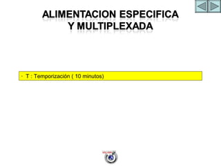 ALIMENTACION ESPECIFICA 9 ·  T : Temporización ( 10 minutos) 