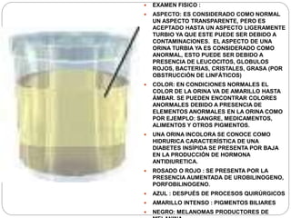 EXAMEN FISICO :
 ASPECTO: ES CONSIDERADO COMO NORMAL
UN ASPECTO TRANSPARENTE, PERO ES
ACEPTADO HASTA UN ASPECTO LIGERAMENTE
TURBIO YA QUE ESTE PUEDE SER DEBIDO A
CONTAMINACIONES. EL ASPECTO DE UNA
ORINA TURBIA YA ES CONSIDERADO COMO
ANORMAL, ESTO PUEDE SER DEBIDO A
PRESENCIA DE LEUCOCITOS, GLOBULOS
ROJOS, BACTERIAS, CRISTALES, GRASA (POR
OBSTRUCCIÓN DE LINFÁTICOS)
 COLOR: EN CONDICIONES NORMALES EL
COLOR DE LA ORINA VA DE AMARILLO HASTA
ÁMBAR. SE PUEDEN ENCONTRAR COLORES
ANORMALES DEBIDO A PRESENCIA DE
ELEMENTOS ANORMALES EN LA ORINA COMO
POR EJEMPLO: SANGRE, MEDICAMENTOS,
ALIMENTOS Y OTROS PIGMENTOS.
 UNA ORINA INCOLORA SE CONOCE COMO
HIDRURICA CARACTERÍSTICA DE UNA
DIABETES INSÍPIDA SE PRESENTA POR BAJA
EN LA PRODUCCIÓN DE HORMONA
ANTIDIURETICA.
 ROSADO O ROJO : SE PRESENTA POR LA
PRESENCIA AUMENTADA DE UROBILINOGENO,
PORFOBILINOGENO.
 AZUL : DESPUÉS DE PROCESOS QUIRÚRGICOS
 AMARILLO INTENSO : PIGMENTOS BILIARES
 NEGRO: MELANOMAS PRODUCTORES DE
 