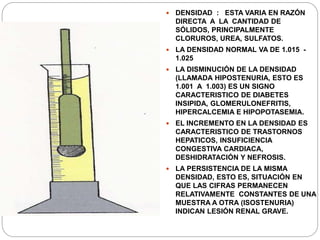  DENSIDAD : ESTA VARIA EN RAZÓN
DIRECTA A LA CANTIDAD DE
SÓLIDOS, PRINCIPALMENTE
CLORUROS, UREA, SULFATOS.
 LA DENSIDAD NORMAL VA DE 1.015 -
1.025
 LA DISMINUCIÓN DE LA DENSIDAD
(LLAMADA HIPOSTENURIA, ESTO ES
1.001 A 1.003) ES UN SIGNO
CARACTERISTICO DE DIABETES
INSIPIDA, GLOMERULONEFRITIS,
HIPERCALCEMIA E HIPOPOTASEMIA.
 EL INCREMENTO EN LA DENSIDAD ES
CARACTERISTICO DE TRASTORNOS
HEPATICOS, INSUFICIENCIA
CONGESTIVA CARDIACA,
DESHIDRATACIÓN Y NEFROSIS.
 LA PERSISTENCIA DE LA MISMA
DENSIDAD, ESTO ES, SITUACIÓN EN
QUE LAS CIFRAS PERMANECEN
RELATIVAMENTE CONSTANTES DE UNA
MUESTRA A OTRA (ISOSTENURIA)
INDICAN LESIÓN RENAL GRAVE.
 