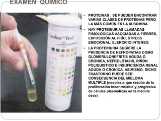 EXAMEN QUIMICO
 PROTEINAS : SE PUEDEN ENCONTRAR
VARIAS CLASES DE PROTEINAS PERO
LA MÁS COMÚN ES LA ALBÚMINA
 HAY PROTEINURIAS LLAMADAS
FISIOLÓGICAS ASOCIADAS A FIEBRES,
EXPOSICIÓN AL FRÍO, STRESS
EMOCIONAL, EJERCICIO INTENSO.
 LA PROTEINURIA SUGIERE LA
PRESENCIA DE NEFROPATIAS COMO
GLOMERULONEFRITIS AGUDA O
CRONICA, NEFROLITIASIS, RIÑON
POLIQUISTICO E INSUFICIENCIA RENAL
AGUDA O CRONICA, ASIMISMO, DICHO
TRASTORNO PUEDE SER
CONSECUENCIA DEL MIELOMA
MULTIPLE (neoplasia que resulta de la
proliferación incontrolable y progresiva
de células plasmáticas en la médula
ósea)
 