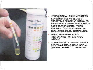  HEMOGLOBINA : ES UNA PROTEÍNA
SANGUÍNEA QUE NO SE DEBE
ENCONTRAR EN ORINAS NORMALES,
SU PRESENCIA PUEDE SER CAUSADA
POR PROCESOS HEMOLÍTICOS,
AGENTES TÓXICOS, ACCIDENTES
TRASNFUSIONALES, QUEMADURAS.
 FISIOLOGICAMENTE PUEDE
PRESENTARSE POR EJERCICIO
INTENSO
 LA PRESENCIA DE HEMOGLOBINA Y
PROTEINAS AMBAS ALTAS INDICAN
QUE HAY UN DAÑO GLOMERULAR.
 