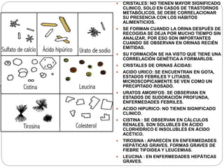  CRISTALES: NO TIENEN MAYOR SIGNIFICADO
CLINICO, SOLO EN CASOS DE TRASTORNOS
METABÓLICOS, SE DEBE CORRELACIONAR
SU PRESENCIA CON LOS HÁBITOS
ALIMENTICIOS.
 SE FORMAN CUANDO LA ORINA DESPUÉS DE
RECOGIDA SE DEJA POR MUCHO TIEMPO SIN
ANALIZAR, POR ESO SON IMPORTANTES
CUANDO SE OBSERVAN EN ORINAS RECIÉN
EMITIDAS.
 SU FORMACIÓN SE HA VISTO QUE TIENE UNA
CORRELACIÓN GENÉTICA A FORMARLOS.
 CRISTALES DE ORINAS ÁCIDAS:
 ACIDO URICO: SE ENCUENTRAN EN GOTA,
ESTADOS FEBRILES Y LITIASIS,
MICROSCOPICAMENTE SE VEN COMO UN
PRECIPITADO ROSADO.
 URATOS AMORFOS: SE OBSERVAN EN
ESTADOS DE SUDORACIÓN PROFUNDA,
ENFERMEDADES FEBRILES.
 ACIDO HIPURICO: NO TIENEN SIGNIFICADO
CLINICO.
 CISTINA : SE OBSERVAN EN CÁLCULOS
RENALES, SON SOLUBLES EN ÁCIDO
CLORHÍDRICO E INSOLUBLES EN ÁCIDO
ACÉTICO.
 TIROSINA : APARECEN EN ENFERMEDADES
HEPÁTICAS GRAVES, FORMAS GRAVES DE
FIEBRE TIFOIDEA Y LEUCEMIAS.
 LEUCINA : EN ENFERMEDADES HEPÁTICAS
GRAVES.
 