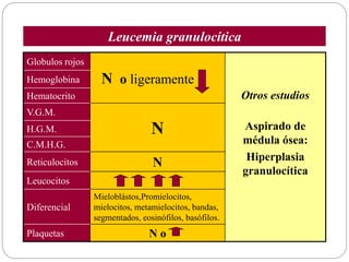 Globulos rojos
N o ligeramente
Otros estudios
Aspirado de
médula ósea:
Hiperplasia
granulocítica
Hemoglobina
Hematocrito
V.G.M.
NH.G.M.
C.M.H.G.
Reticulocitos N
Leucocitos
Diferencial
Mieloblástos,Promielocitos,
mielocitos, metamielocitos, bandas,
segmentados, eosinófilos, basófilos.
Plaquetas N o
Leucemia granulocítica
 