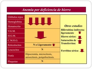Glóbulos rojos
Otros estudios
Bilirrubina indirecta:
ligeramente
Hierro sérico:
Saturación de
Transferrina:
Ferritina sérica:
Hemoglobina
Hematocrito
V.G.M.
H.G.M.
C.M.H.G.
Reticulocitos N o Ligeramente
Leucocitos N
Frotis
Hipocromía, microcitosis,
anisocitosis, poiquilocitosis.
Plaquetas N
Anemia por deficiencia de hierro
 