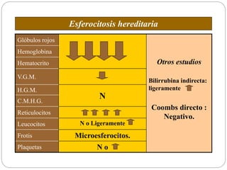 Glóbulos rojos
Otros estudios
Bilirrubina indirecta:
ligeramente
Coombs directo :
Negativo.
Hemoglobina
Hematocrito
V.G.M.
H.G.M.
NC.M.H.G.
Reticulocitos
Leucocitos N o Ligeramente
Frotis Microesferocitos.
Plaquetas N o
Esferocitosis hereditaria
 
