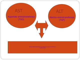 AST
Aspartato aminotransferasa
(TGO)
ALT
Alanino aminotransferasa
(TGP)
ENZIMAS PREDOMINANTES EN INTERIOR DE CELULAS HEPATICAS
Y MUSCULARES
 