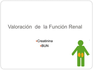 Valoración de la Función Renal
Creatinina
BUN
 