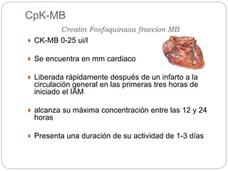 CpK-MB
Creatin Fosfoquinasa fraccion MB
 CK-MB 0-25 ui/l
 Se encuentra en mm cardiaco
 Liberada rápidamente después de un infarto a la
circulación general en las primeras tres horas de
iniciado el IAM
 alcanza su máxima concentración entre las 12 y 24
horas
 Presenta una duración de su actividad de 1-3 días
 