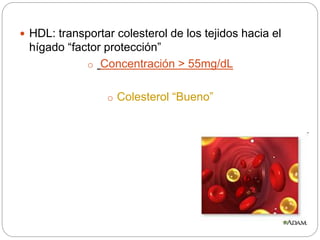  HDL: transportar colesterol de los tejidos hacia el
hígado “factor protección”
o Concentración > 55mg/dL
o Colesterol “Bueno”
 