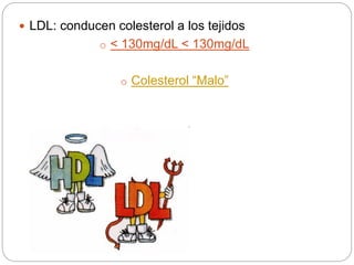  LDL: conducen colesterol a los tejidos
o < 130mg/dL < 130mg/dL
o Colesterol “Malo”
 