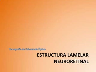 ESTRUCTURA LAMELAR
      NEURORETINAL
 