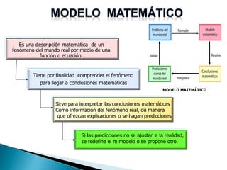 Interpretacion de graficos - modelos matemáticos