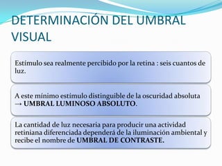 DETERMINACIÓN DEL UMBRAL
VISUAL
Estímulo sea realmente percibido por la retina : seis cuantos de
luz.

A este mínimo estímulo distinguible de la oscuridad absoluta
→ UMBRAL LUMINOSO ABSOLUTO.
La cantidad de luz necesaria para producir una actividad
retiniana diferenciada dependerá de la iluminación ambiental y
recibe el nombre de UMBRAL DE CONTRASTE.

 