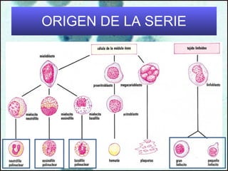 ORIGEN DE LA SERIE 