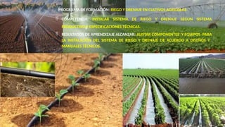 Programa De Riego INTERPRETACION DE PLANOS EN RIEGO Y DRENAJE | PPTX