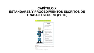 CAPÍTULO X
ESTÁNDARES Y PROCEDIMIENTOS ESCRITOS DE
TRABAJO SEGURO (PETS)
 