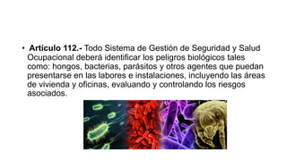 • Artículo 112.- Todo Sistema de Gestión de Seguridad y Salud
Ocupacional deberá identificar los peligros biológicos tales
como: hongos, bacterias, parásitos y otros agentes que puedan
presentarse en las labores e instalaciones, incluyendo las áreas
de vivienda y oficinas, evaluando y controlando los riesgos
asociados.
 