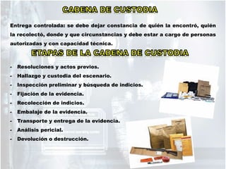 Entrega controlada: se debe dejar constancia de quién la encontró, quién
la recolectó, donde y que circunstancias y debe estar a cargo de personas
autorizadas y con capacidad técnica.
- Resoluciones y actos previos.
- Hallazgo y custodia del escenario.
- Inspección preliminar y búsqueda de indicios.
- Fijación de la evidencia.
- Recolección de indicios.
- Embalaje de la evidencia.
- Transporte y entrega de la evidencia.
- Análisis pericial.
- Devolución o destrucción.
 