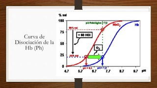 Curva de
Disociación de la
Hb (Ph)
 