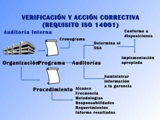 VERIFICACIÓN YY AACCCCIIÓÓNN CCOORRRREECCTTIIVVAA 
((RREEQQUUIISSIITTOO IISSOO 1144000011)) 
Auditoría Interna 
OrganizaciónPrograma 
Determina si 
SGA 
Auditorías 
Procedimiento 
Alcance 
Frecuencia 
Metodologías 
Responsabilidades 
Requerimientos 
Informe resultados 
Conforme a 
disposiciones 
Implementación 
apropiada 
Suministrar 
información 
a la gerencia 
Cronograma 
 