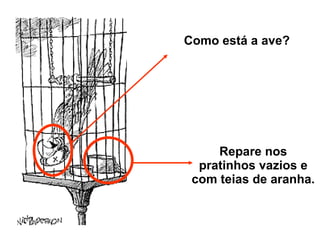 Como está a ave? Repare nos pratinhos vazios e com teias de aranha. 
