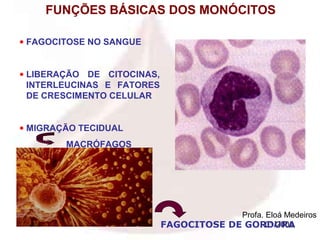 FUNÇÕES BÁSICAS DOS MONÓCITOS

• FAGOCITOSE NO SANGUE


• LIBERAÇÃO DE CITOCINAS,
  INTERLEUCINAS E FATORES
  DE CRESCIMENTO CELULAR


• MIGRAÇÃO TECIDUAL
        MACRÓFAGOS




                                         Profa. Eloá Medeiros
                            FAGOCITOSE DE GORDURA
                                                01/2008
 