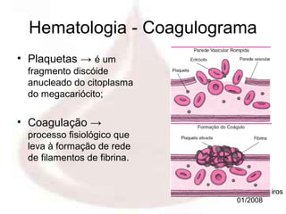 Hematologia - Coagulograma
• Plaquetas → é um
 fragmento discóide
 anucleado do citoplasma
 do megacariócito;


• Coagulação →
 processo fisiológico que
 leva à formação de rede
 de filamentos de fibrina.


                             Profa. Eloá Medeiros
                                    01/2008
 