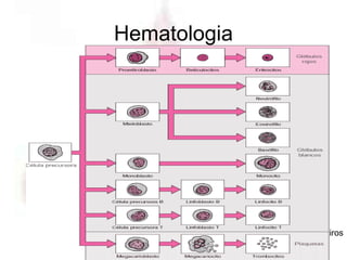 Hematologia




              Profa. Eloá Medeiros
                     01/2008
 