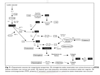 Profa. Eloá Medeiros
       01/2008
 