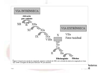 Profa. Eloá Medeiros
       01/2008
 