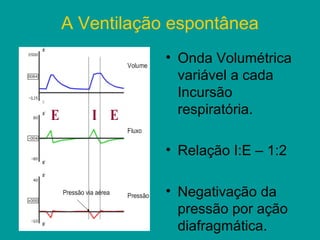 A Ventilação espontânea
            • Onda Volumétrica
              variável a cada
              Incursão
              respiratória.

            • Relação I:E – 1:2

            • Negativação da
              pressão por ação
              diafragmática.
 